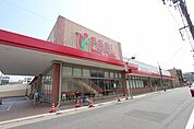 フィール花の木店 49m