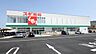 周辺：スギ薬局向島店 324m