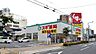 周辺：スギ薬局大曽根店 517m