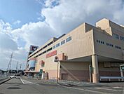 平和堂 坂本店（1557m）