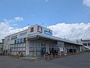 ウエルシア大津堅田店（239m）