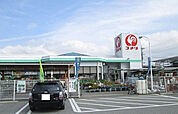 コメリハード＆グリーン忍野店（279m）