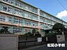 周辺：平塚市立松延小学校 徒歩4分。 290m