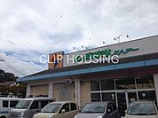 しまむらストアー旭店 徒歩11分。 810m