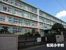 周辺：平塚市立松延小学校 徒歩3分。 180m