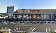 ヨークフーズ秦野緑町店 徒歩11分。 840m