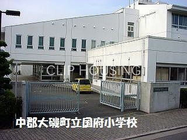 Image 6