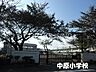 周辺：平塚市立中原小学校 徒歩6分。 440m