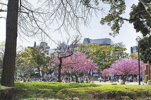 画像15:【公園】横浜公園まで482ｍ