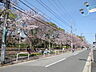 その他：新松戸中央公園