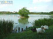 昆陽池公園 751m