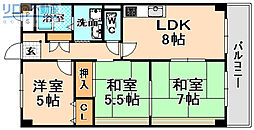 クローバーハイツ西台 3LDKの間取図画像