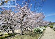 瑞ケ池公園 547m