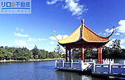 緑ケ丘公園 1252m