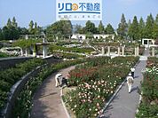 荒牧バラ公園 681m