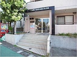 4 / 5