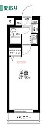 日神パレステージ三軒茶屋 1Kの間取図画像