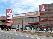 ヤオコー川越藤間店