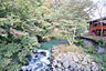 周辺：早川・・・1500ｍ
