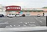 周辺：クスリのアオキ 際川店 290m