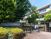 羽村市立羽村西小学校まで（520m）