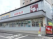スギ薬局西大路五条店 799m