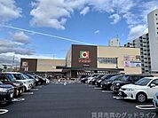 カナートモール伏見 539m