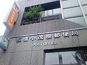 板橋小茂根郵便局 519m