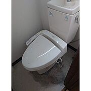 ウォシュレット付きトイレです。