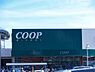 周辺：【スーパー】COOP MIYAGI(コープ ミヤギ) みやぎ生協 榴岡店まで260ｍ