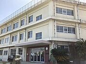 新開小学校 695m