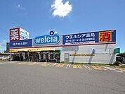 ウエルシア薬局飯能柳町店 (調剤薬局) 1415m