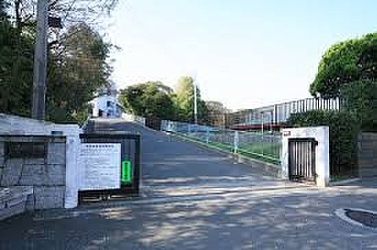 【小学校】根岸...