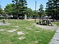 【公園】つくし...