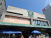 Y’s mart Discover（ワイズディスカ） 東砂店（747m）