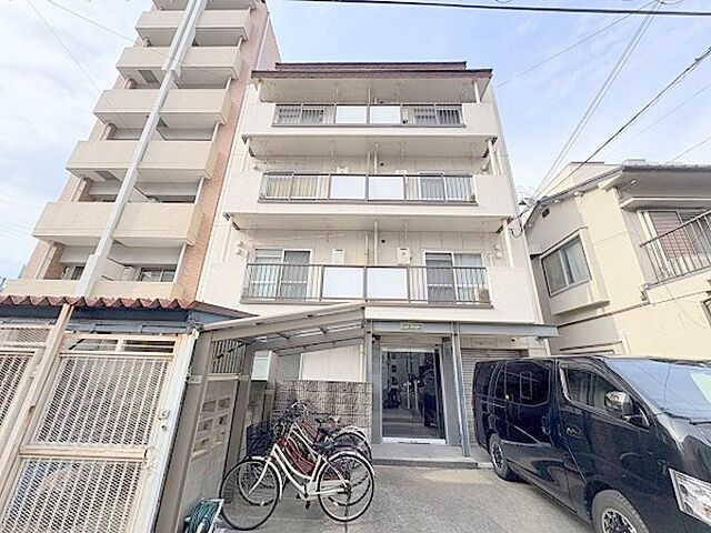 3 / 6