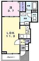 Ｙｓ．Ｖｉｌｌａ赤坂 102 ｜ 兵庫県相生市赤坂1丁目（賃貸アパート1LDK・1階・37.13㎡） その2