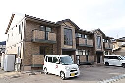 ウィルモア泉野