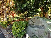 その他「上野毛自然公園まで520m」