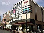 ホームセンター「ノジマフレル・ウィズ自由が丘店まで692m」