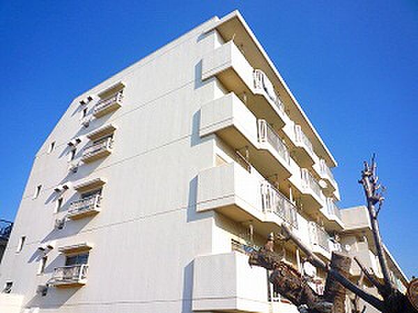 板橋ロイヤルハイツ 402｜東京都板橋区東新町2丁目(賃貸マンション2DK・4階・43.65㎡)の写真 その1