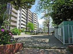 【公園】千川上水公園まで612ｍ