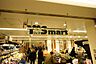 周辺：Y’s mart（ワイズマート） シャポー船橋店（589m）