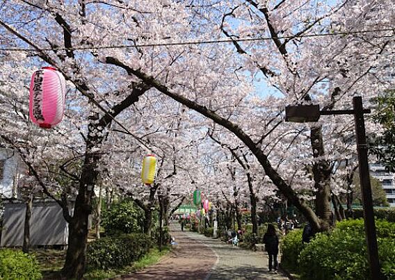 南砂緑道公園・...
