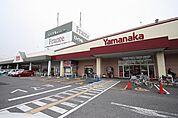 西枇フランテ館 631m