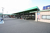 ピアゴ 西春店 1200m