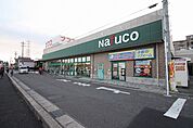 ナフコ 師勝中央店  542m