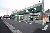 ナフコ中央店 1345m