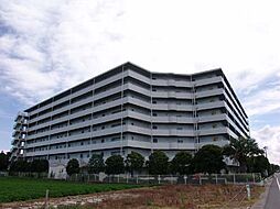 セザール九十九里浜