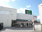 ショッピング施設「マルエツまで300m」